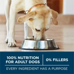 Purina ONE Natural Large Breed +Plus Formula Dry Dog Food -Blue Buffalos Shop 143261 PT5. AC SS1800 V1676317831