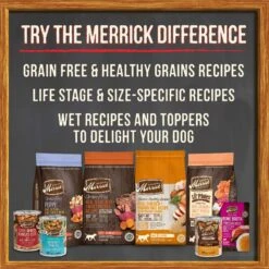 Merrick Grain-Free Wet Puppy Food Puppy Plate Beef Recipe -Blue Buffalos Shop 144744 PT8. AC SS1800 V1615252620