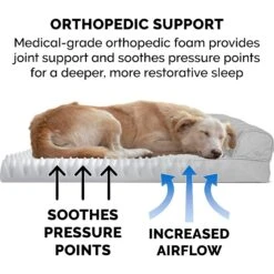 FurHaven Quilted Orthopedic Sofa Cat & Dog Bed With Removable Cover -Blue Buffalos Shop 145024 PT6. AC SS1800 V1606815770