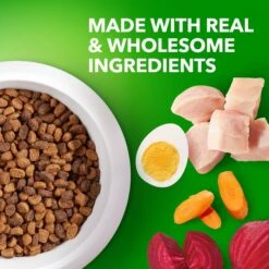 Iams Proactive Health Small & Toy Breed Puppy High Protein DHA Formula With Real Chicken Dry Dog Food 14 Iams Proactive Health Small & Toy Breed Puppy High Protein DHA Formula With Real Chicken Dry Dog Food -Blue Buffalos Shop 145145 PT3. AC SS1800 V1668023610