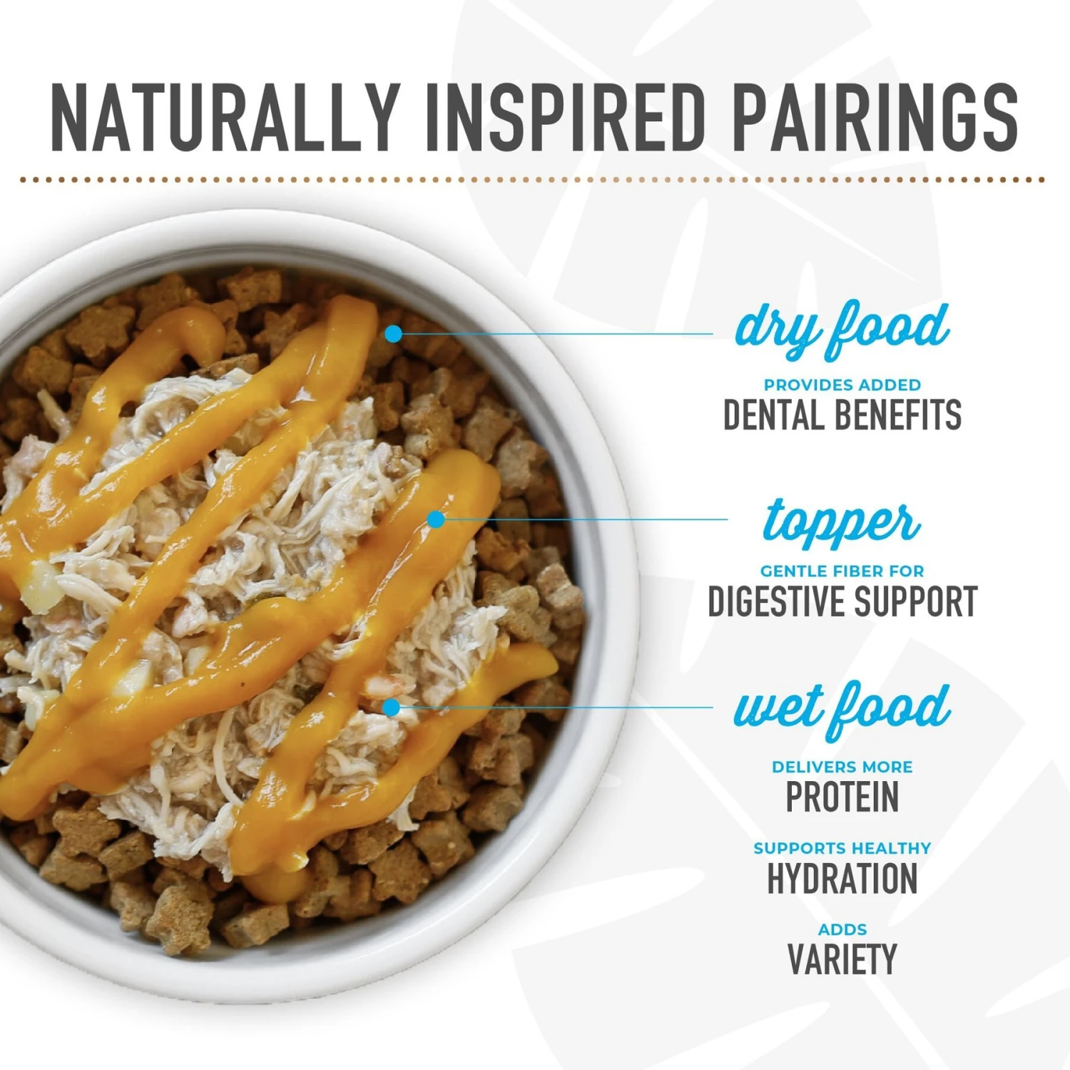 Tiki Dog Born Carnivore Savory Duck, Peas & Lentils, Baked Dry Dog Food 11 Tiki Dog Born Carnivore Savory Duck, Peas & Lentils, Baked Dry Dog Food - Image 9