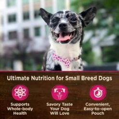Wellness CORE Grain-Free Small Breed Mini Meals Shredded Chicken & Lamb In Gravy Dog Food Pouches -Blue Buffalos Shop 145504 PT2. AC SS1800 V1611763310