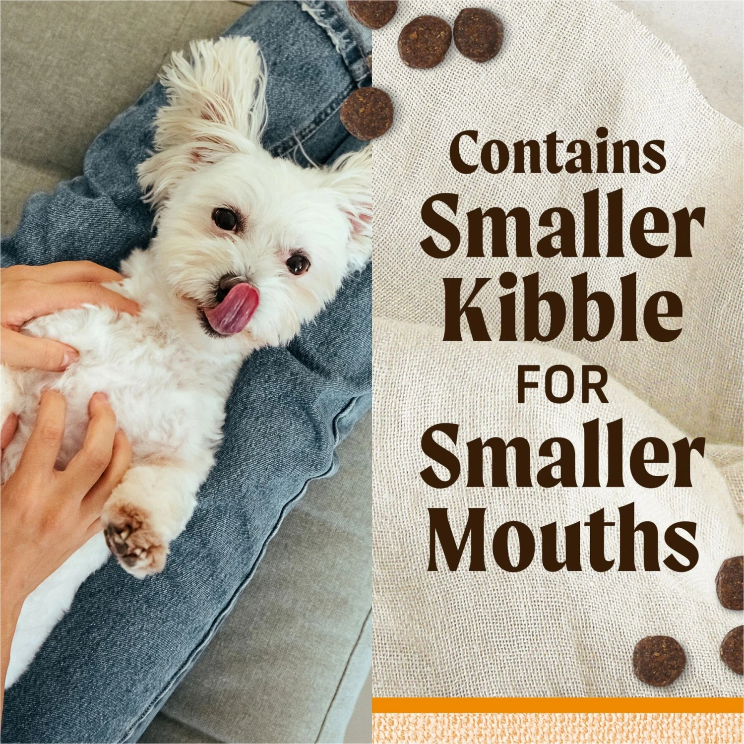 Merrick Lil' Plates Grain-Free Small Breed Dry Dog Food Real Chicken + Sweet Potato Recipe 6 Merrick Lil' Plates Grain-Free Small Breed Dry Dog Food Real Chicken + Sweet Potato Recipe - Image 4