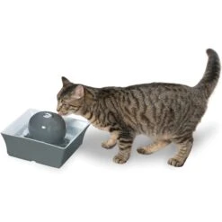 PetSafe Drinkwell Seascape Ceramic Dog & Cat Fountain -Blue Buffalos Shop 147502 PT6. AC SS1800 V1608080245
