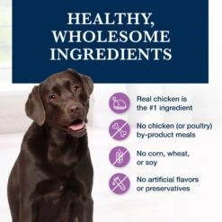 Blue Buffalo Natural Veterinary Diet W+U Weight Management + Urinary Care Chicken Wet Dog Food 16 Blue Buffalo Natural Veterinary Diet W+U Weight Management + Urinary Care Chicken Wet Dog Food -Blue Buffalos Shop 147694 PT5. AC SS1800 V1695132225