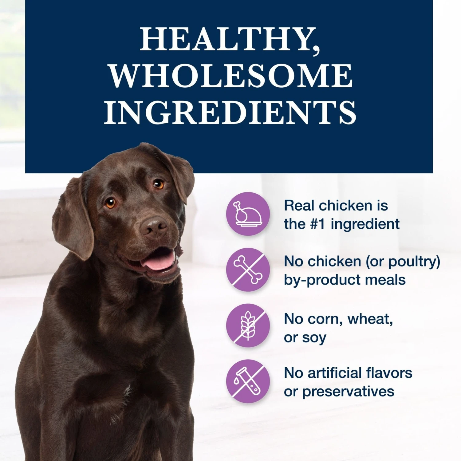 Blue Buffalo Natural Veterinary Diet W+U Weight Management + Urinary Care Chicken Wet Dog Food 8 Blue Buffalo Natural Veterinary Diet W+U Weight Management + Urinary Care Chicken Wet Dog Food - Image 6