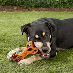 Nerf Dog EXO Treat Dispensing Bone Dog Toy -Blue Buffalos Shop 148525 PT5. AC SS1800 V1531938420