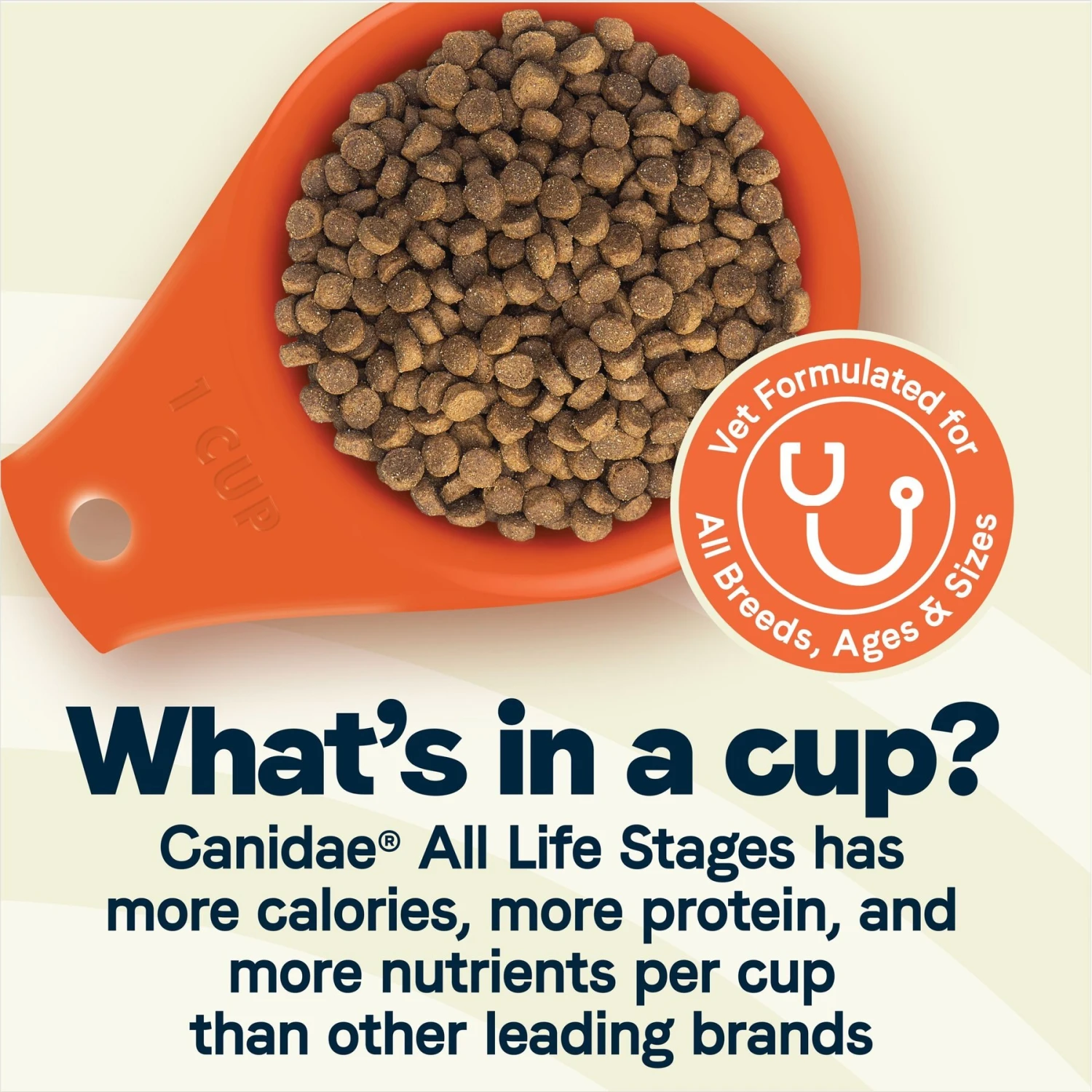 CANIDAE All Life Stages Turkey Meal & Rice Formula Large Breed Dry Dog Food 6 CANIDAE All Life Stages Turkey Meal & Rice Formula Large Breed Dry Dog Food - Image 4