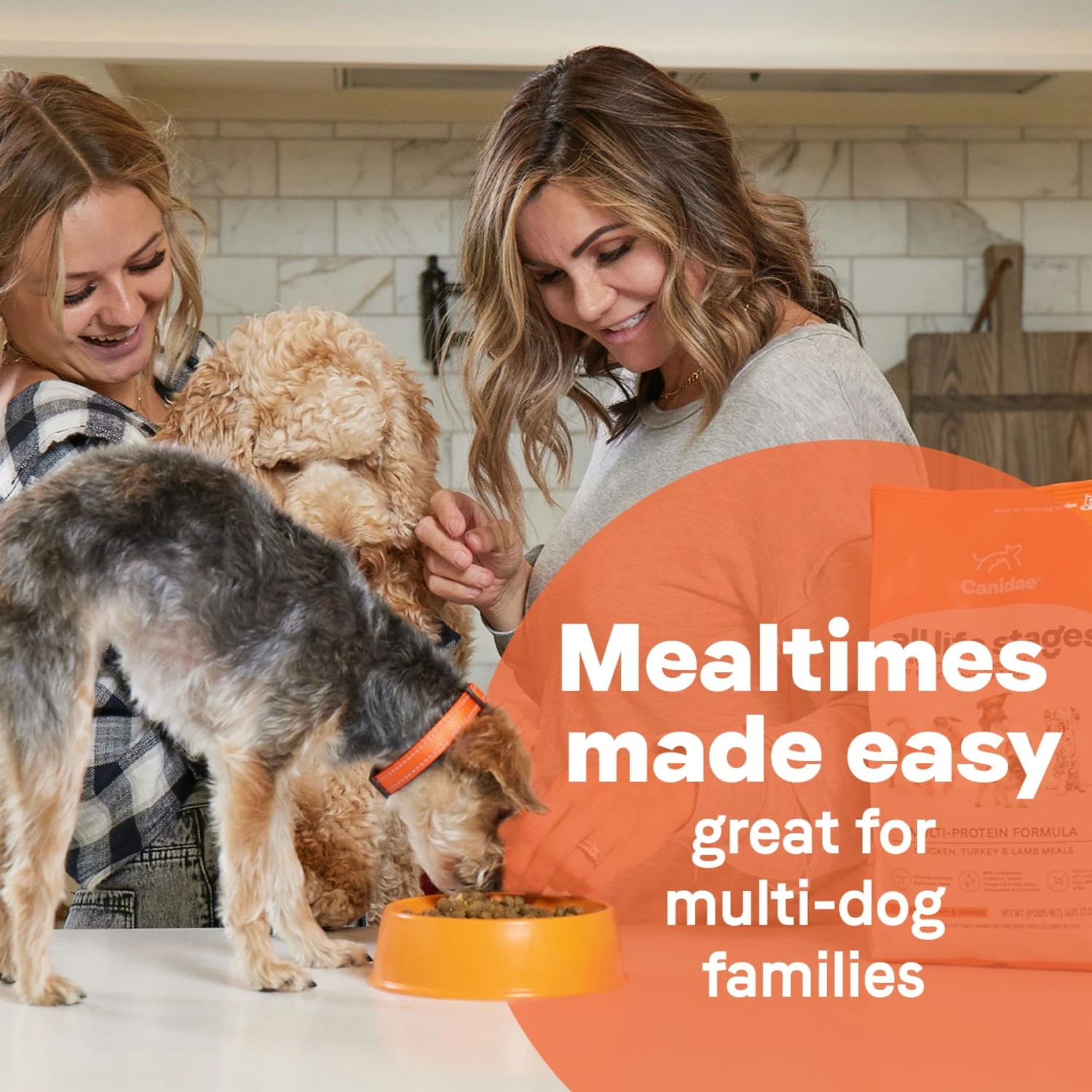 CANIDAE All Life Stages Turkey Meal & Rice Formula Large Breed Dry Dog Food 8 CANIDAE All Life Stages Turkey Meal & Rice Formula Large Breed Dry Dog Food - Image 6