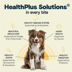 CANIDAE All Life Stages Turkey Meal & Rice Formula Large Breed Dry Dog Food 18 CANIDAE All Life Stages Turkey Meal & Rice Formula Large Breed Dry Dog Food -Blue Buffalos Shop 148552 PT7. AC SS1800 V1683040365