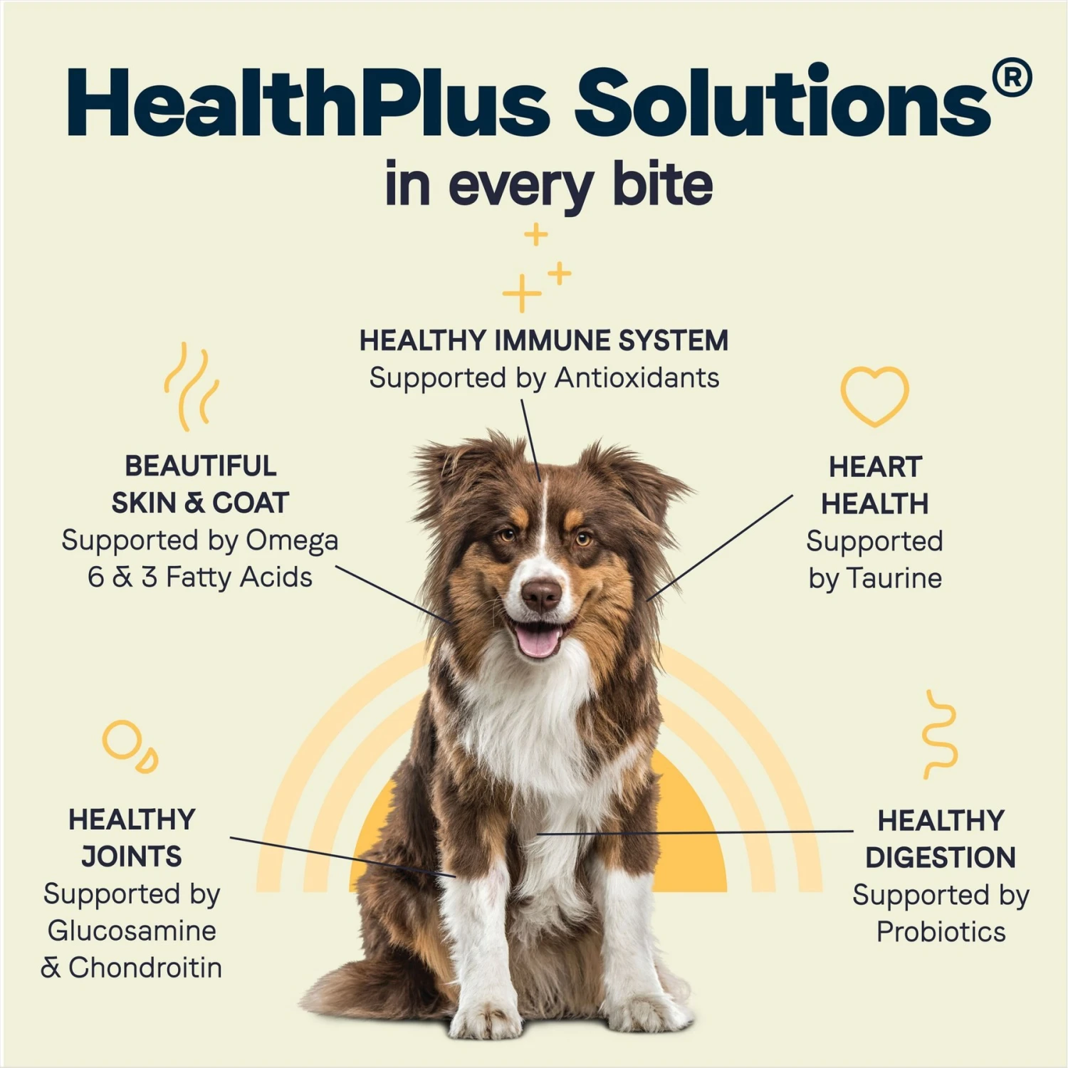 CANIDAE All Life Stages Turkey Meal & Rice Formula Large Breed Dry Dog Food 10 CANIDAE All Life Stages Turkey Meal & Rice Formula Large Breed Dry Dog Food - Image 8