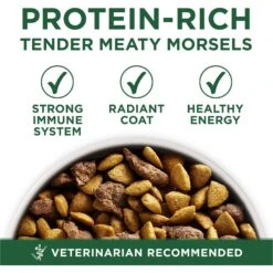 Purina ONE +Plus Adult Small Breed Lamb & Rice Formula Dry Dog Food 13 Purina ONE +Plus Adult Small Breed Lamb & Rice Formula Dry Dog Food -Blue Buffalos Shop 148609 PT2. AC SS1800 V1686062870