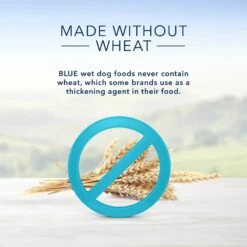 Blue Buffalo Homestyle Recipes Adult Variety Pack Chicken & Beef Dinner Canned Dog Food -Blue Buffalos Shop 149837 PT5. AC SS1800 V1572895087