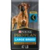 Purina Pro Plan Adult Large Breed Chicken & Rice Formula Dry Dog Food -Blue Buffalos Shop 151474 MAIN. AC SS1800 V1657655675