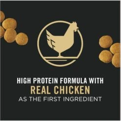 Purina Pro Plan Adult Large Breed Chicken & Rice Formula Dry Dog Food -Blue Buffalos Shop 151474 PT2. AC SS1800 V1657910691