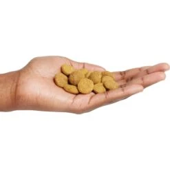 Purina Pro Plan Adult Large Breed Chicken & Rice Formula Dry Dog Food -Blue Buffalos Shop 151474 PT4. AC SS1800 V1657910575