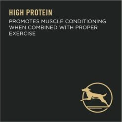 Purina Pro Plan Adult Large Breed Chicken & Rice Formula Dry Dog Food -Blue Buffalos Shop 151474 PT6. AC SS1800 V1657910573