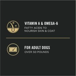 Purina Pro Plan Adult Large Breed Chicken & Rice Formula Dry Dog Food -Blue Buffalos Shop 151474 PT7. AC SS1800 V1657910572