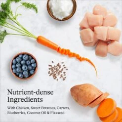 American Journey Senior Chicken & Sweet Potato Recipe Grain-Free Dry Dog Food -Blue Buffalos Shop 151814 PT5. AC SS1800 V1680545524