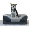 BarksBar Snuggly Sleeper Orthopedic Bolster Dog Bed With Removable Cover, Gray 1 BarksBar Snuggly Sleeper Orthopedic Bolster Dog Bed With Removable Cover, Gray -Blue Buffalos Shop 154344 MAIN. AC SS1800 V1628015183