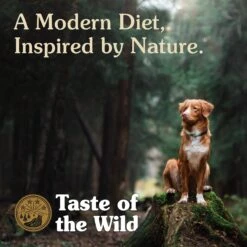 Taste Of The Wild High Prairie Puppy Formula Grain-Free Dry Dog Food 14 Taste Of The Wild High Prairie Puppy Formula Grain-Free Dry Dog Food -Blue Buffalos Shop 154555 PT5. AC SS1800 V1641256001