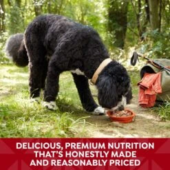 Nature's Recipe Chicken & Beef Recipe In Savory Broth Grain-Free Wet Dog Food -Blue Buffalos Shop 154679 PT4. AC SS1800 V1676558545