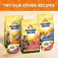 Nature's Recipe Chicken & Beef Recipe In Savory Broth Grain-Free Wet Dog Food -Blue Buffalos Shop 154679 PT6. AC SS1800 V1676558545