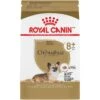 Royal Canin Breed Health Nutrition Chihuahua Adult 8+ Dry Dog Food -Blue Buffalos Shop 154776 MAIN. AC SS1800 V1695156230