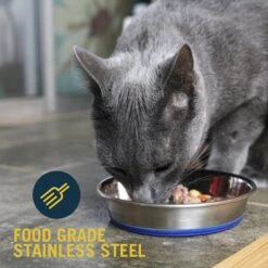 OurPets Durapet Premium Stainless Steel Cat & Dog Bowl 11 OurPets Durapet Premium Stainless Steel Cat & Dog Bowl -Blue Buffalos Shop 155056 PT2. AC SS1800 V1639092860