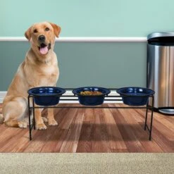 Platinum Pets Modern Triple Diner Elevated Wide Rimmed Dog & Cat Bowl 10 Platinum Pets Modern Triple Diner Elevated Wide Rimmed Dog & Cat Bowl -Blue Buffalos Shop 155508 PT4. AC SS1800 V1628181087