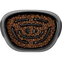 Frisco Non-Skid Slow Feeder Dog & Small Pet Bowl -Blue Buffalos Shop 155648 PT2. AC SS1800 V1553539021