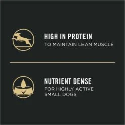 Purina Pro Plan Focus Small Breed Turkey Entree Grain-Free Wet Dog Food -Blue Buffalos Shop 156341 PT2. AC SS1800 V1669909316