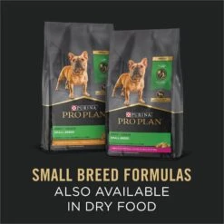 Purina Pro Plan Focus Small Breed Variety Pack Entree Grain-Free Wet Dog Food -Blue Buffalos Shop 156345 PT8. AC SS1800 V1669908559