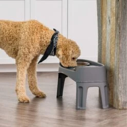 IRIS USA Elevated Dog Feeder With Attachable Feet -Blue Buffalos Shop 156889 PT2. AC SS1800 V1598660494