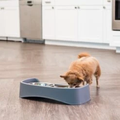 IRIS USA Elevated Dog Feeder With Attachable Feet -Blue Buffalos Shop 156889 PT3. AC SS1800 V1598650940