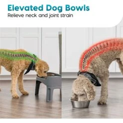 IRIS USA Elevated Dog Feeder With Attachable Feet -Blue Buffalos Shop 156889 PT5. AC SS1800 V1552318325