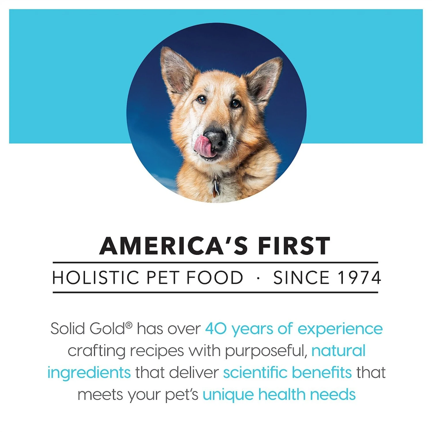 Solid Gold Barking At The Moon 95% Beef Recipe Grain-Free Canned Dog Food 8 Solid Gold Barking At The Moon 95% Beef Recipe Grain-Free Canned Dog Food - Image 6