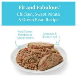 Solid Gold Fit & Fabulous Chicken, Sweet Potato & Green Bean Weight Control Recipe Grain-Free Canned Dog Food -Blue Buffalos Shop 157128 PT2. AC SS1800 V1547218973
