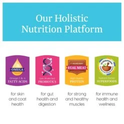 Solid Gold Love At First Bark Beef, Potatoes & Apples Puppy Recipe Grain-Free Canned Dog Food 10 Solid Gold Love At First Bark Beef, Potatoes & Apples Puppy Recipe Grain-Free Canned Dog Food -Blue Buffalos Shop 157130 PT2. AC SS1800 V1547218977