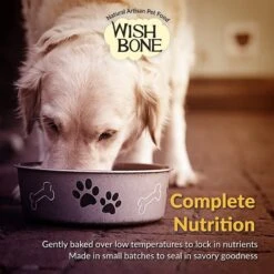 Wishbone Graze Grain-Free Dry Dog Food 12 Wishbone Graze Grain-Free Dry Dog Food -Blue Buffalos Shop 157494 PT5. AC SS1800 V1582834101