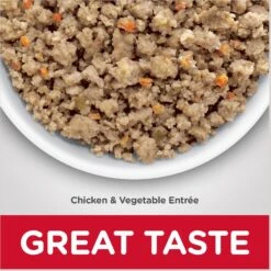 Hill's Science Diet Adult Sensitive Stomach & Skin Chicken & Vegetable Entrée Canned Dog Food -Blue Buffalos Shop 157791 PT2. AC SS1800 V1609375953