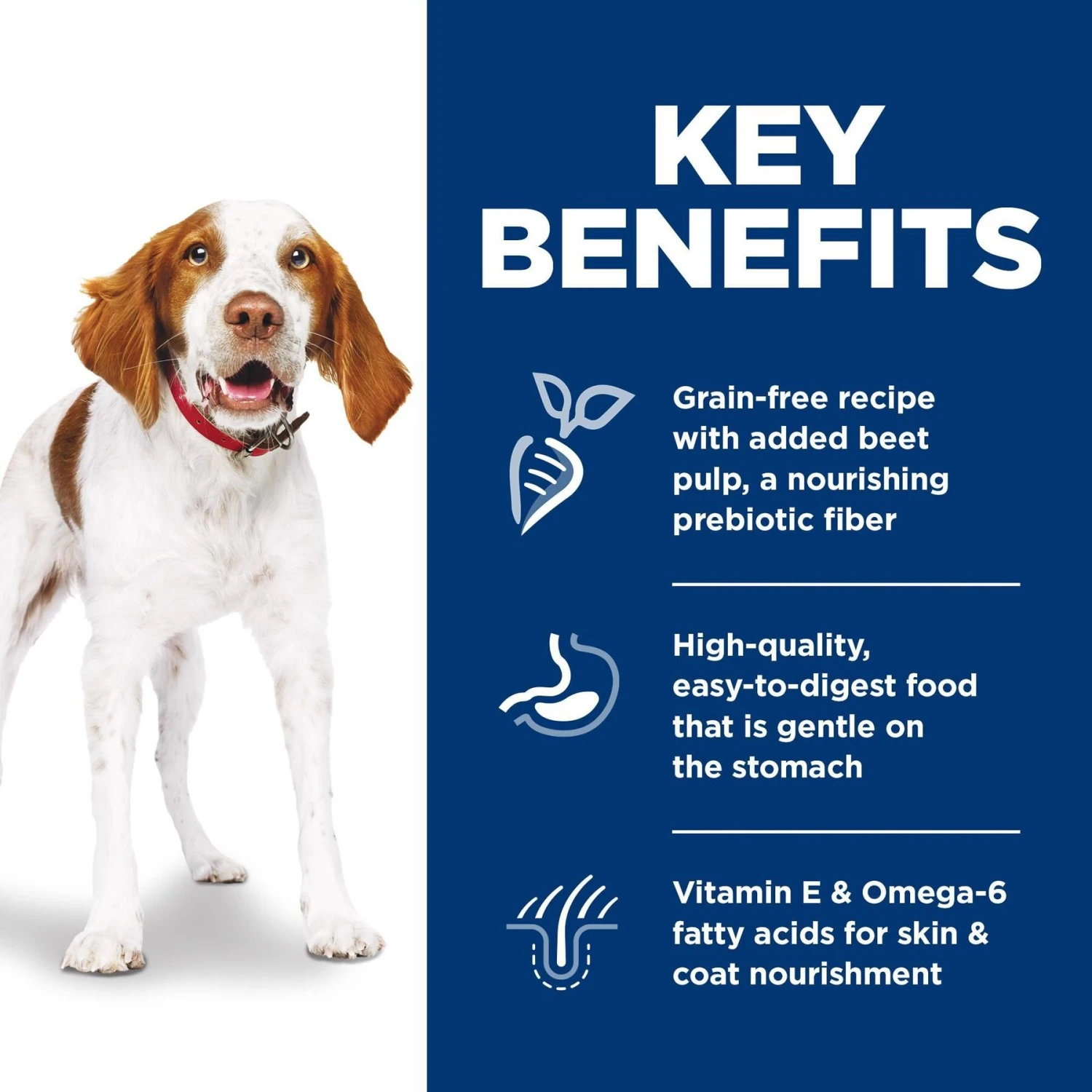 Hill's Science Diet Adult Sensitive Stomach & Sensitive Skin Grain-Free Chicken & Potato Recipe Dry Dog Food 7 Hill's Science Diet Adult Sensitive Stomach & Sensitive Skin Grain-Free Chicken & Potato Recipe Dry Dog Food - Image 5