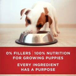 Purina ONE +Plus Classic Ground Healthy Puppy Lamb & Long Grain Rice Entree Canned Dog Food -Blue Buffalos Shop 158418 PT7. AC SS1800 V1668810154