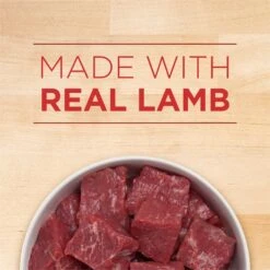 Purina ONE +Plus Classic Ground Healthy Puppy Lamb & Long Grain Rice Entree Canned Dog Food -Blue Buffalos Shop 158418 PT8. AC SS1800 V1645827101