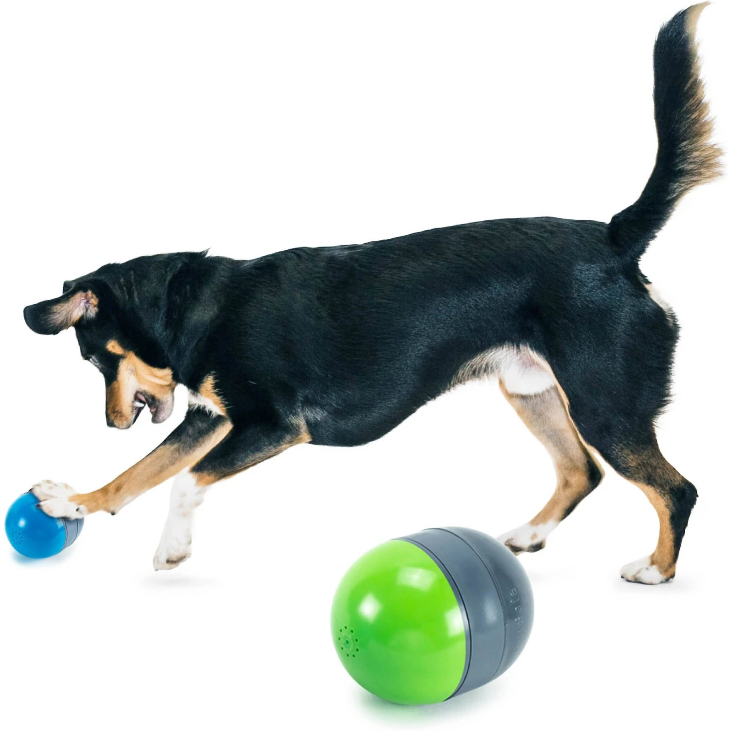 PetSafe Ricochet Interactive Sound Game Dog Toy 3 PetSafe Ricochet Interactive Sound Game Dog Toy