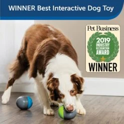 PetSafe Ricochet Interactive Sound Game Dog Toy 13 PetSafe Ricochet Interactive Sound Game Dog Toy -Blue Buffalos Shop 159052 PT3. AC SS1800 V1599844580