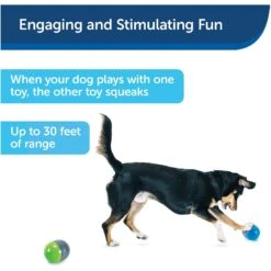 PetSafe Ricochet Interactive Sound Game Dog Toy 15 PetSafe Ricochet Interactive Sound Game Dog Toy -Blue Buffalos Shop 159052 PT5. AC SS1800 V1599844596