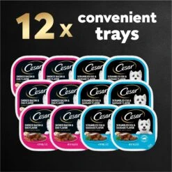 Cesar Breakfast Classic Loaf In Sauce Variety Pack Small Breed Adult Wet Dog Food Trays 19 Cesar Breakfast Classic Loaf In Sauce Variety Pack Small Breed Adult Wet Dog Food Trays -Blue Buffalos Shop 159227 PT8. AC SS1800 V1695750310