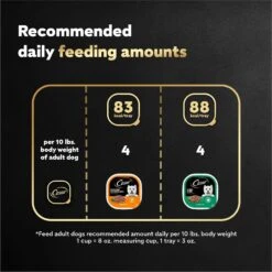 Cesar Poultry Lovers Turkey & Chicken Filets In Gravy Variety Pack Small Breed Adult Wet Dog Food Trays -Blue Buffalos Shop 159235 PT6. AC SS1800 V1695656562