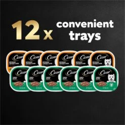 Cesar Poultry Lovers Turkey & Chicken Filets In Gravy Variety Pack Small Breed Adult Wet Dog Food Trays -Blue Buffalos Shop 159235 PT7. AC SS1800 V1695656561